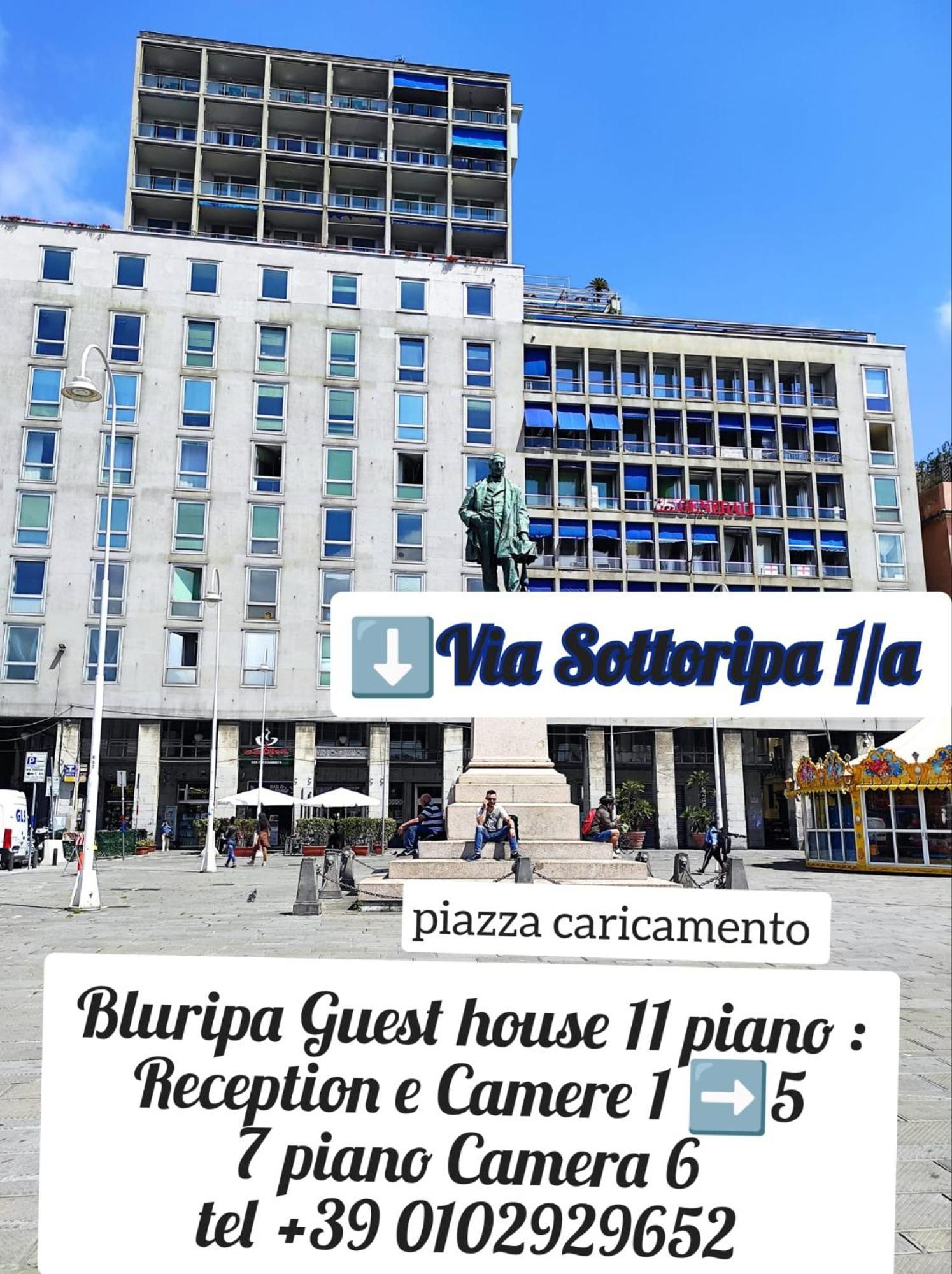 Bluripa Guest House Janov Exteriér fotografie